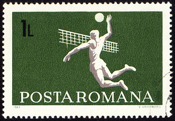 Image showing Volleyball on post stamp