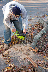 Image showing Cleaning Up Storm Damage with a Chainsaw
