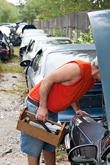 Image showing Under the Hood at the Junkyard