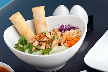 Image showing Thai Salad and Spring Rolls