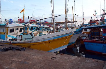 Image showing Fishing Port in Sri Lanka