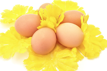 Image showing Easter eggs on yellow decorative flowers