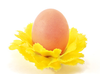 Image showing Egg one in decorative yellow flower