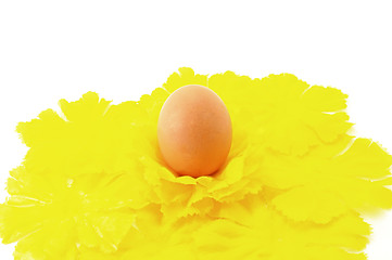 Image showing Egg Easter symbol with yellow decorative flowers