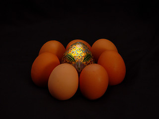 Image showing Golden Egg Three