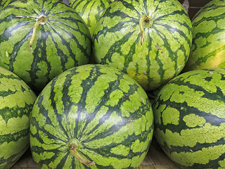 Image showing Watermelon