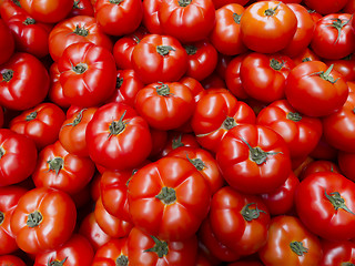 Image showing Tomato