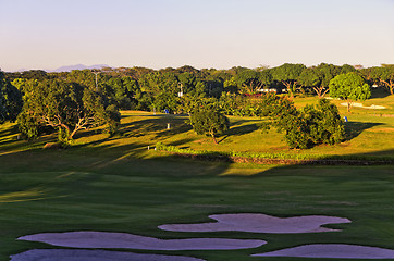 Image showing Golf Greens