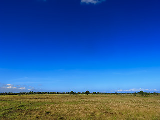 Image showing Dry Field