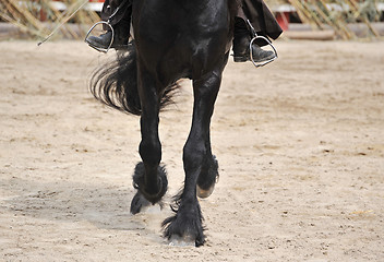 Image showing dressage