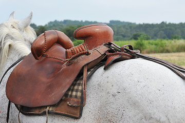 Image showing horse saddle