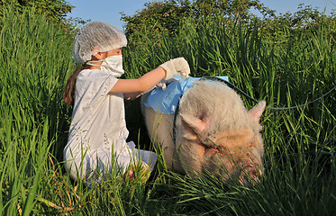 Image showing Swine Influenza Flu