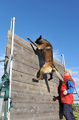 Image showing training of police dog