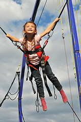 Image showing bungee jumping