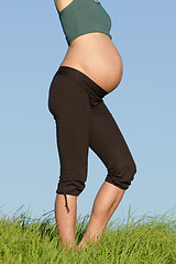 Image showing pregnant woman on meadow