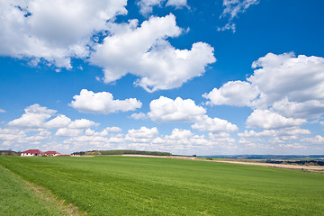 Image showing green field