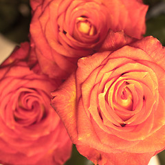 Image showing rose bouquet