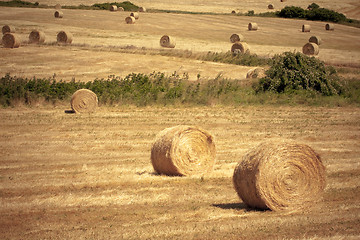 Image showing Typical Tuscan landscape