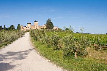 Image showing Typical Tuscan landscape