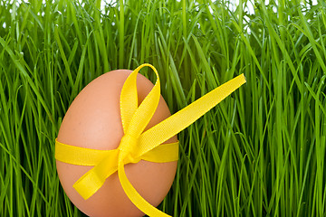 Image showing easter egg and grass