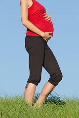Image showing pregnant woman on meadow