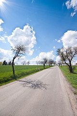 Image showing green field