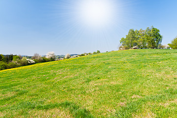 Image showing grassland in the springtime