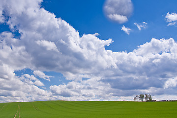 Image showing green field