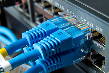 Image showing network cables