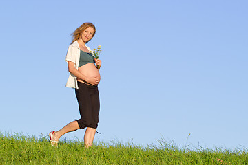 Image showing pregnant woman on meadow