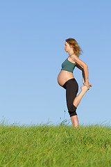 Image showing pregnant woman on meadow