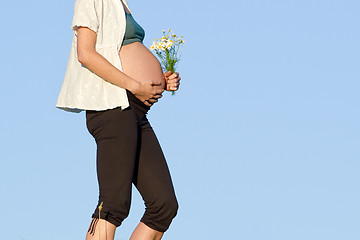 Image showing pregnant woman on meadow