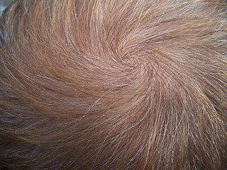 Image showing Hair