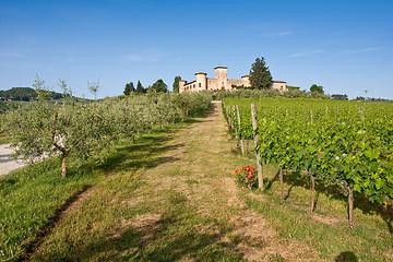 Image showing Typical Tuscan landscape