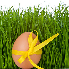 Image showing easter egg and grass