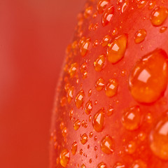 Image showing tomato closeup