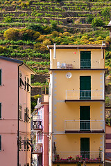 Image showing Cinque Terre, Italy