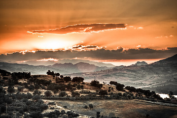 Image showing tuscan landscape