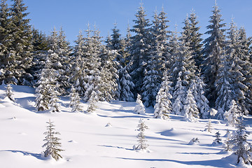 Image showing fresh snow in the mountains