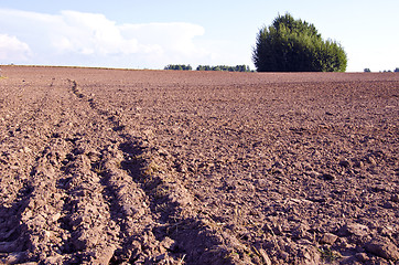 Image showing Background plow fertile ground agricultural fields 