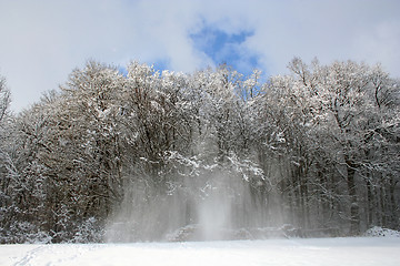 Image showing Snow-covered