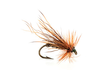 Image showing dry Fly