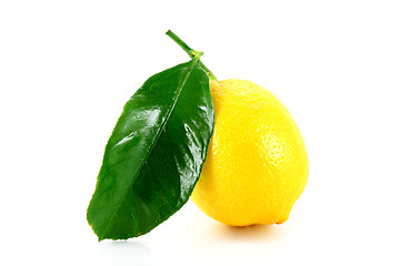 Image showing lemon with green leaf
