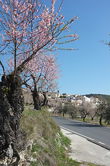 Image showing Costa Blanca village