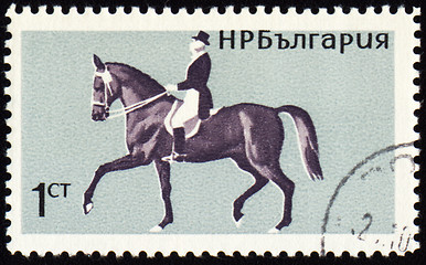 Image showing Horse with rider on post stamp