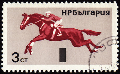 Image showing Horse show jumping on post stamp