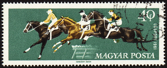 Image showing Jumping show on post stamp