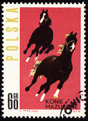 Image showing Horses Mazurskie on post stamp