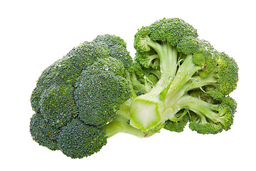 Image showing Broccoli Florets