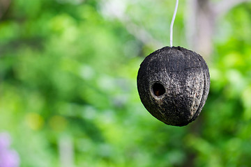 Image showing Natural Birdhouse